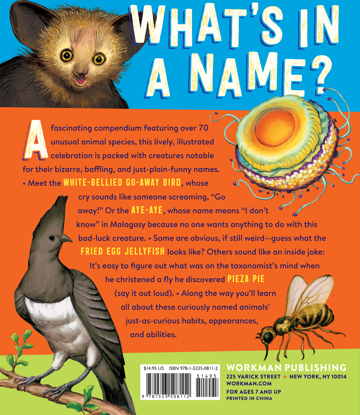 The Screaming Hairy Armadillo and 76 Other Animals with Weird, Wild Names -  Toys To Love, image size:1262x1454