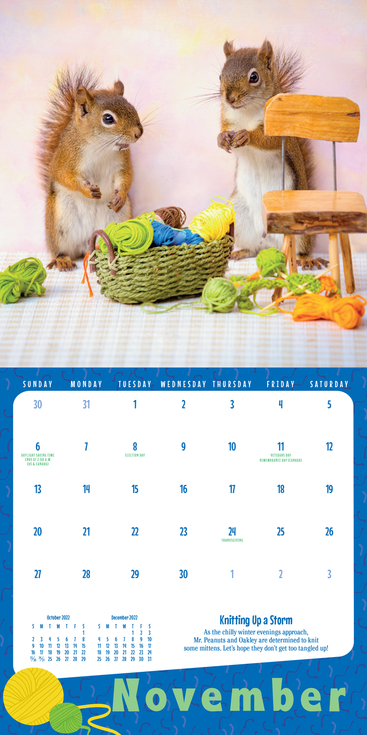 the-secret-life-of-squirrels-mini-wall-calendar-2022-a-year-of-wild-squirrels-portrayed-in