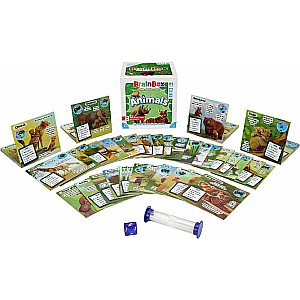 BrainBox Animals