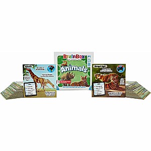 BrainBox Animals