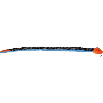 Blue Malayan Coral Snake