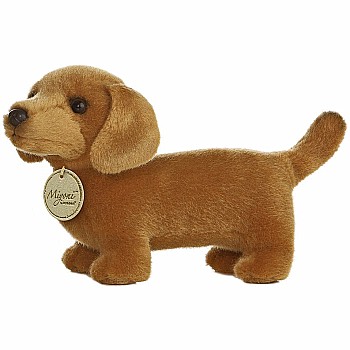 Miyoni Dachshund