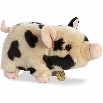 Spotted Pot-Bellied Piglet
