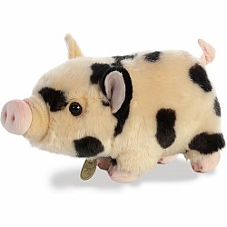 Spotted Pot-Bellied Piglet