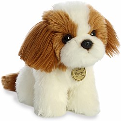 Shih Tzu Pup