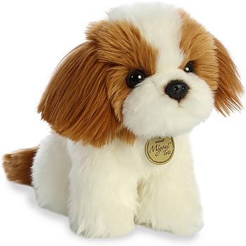Shih Tzu Pup