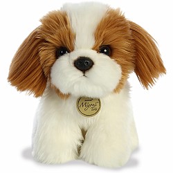 Shih Tzu Pup
