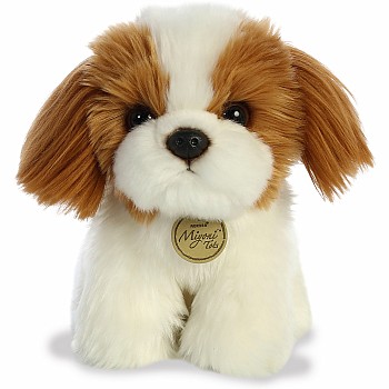 Shih Tzu Pup