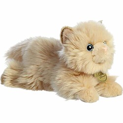Miyoni  Persian Cat