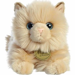 Miyoni  Persian Cat