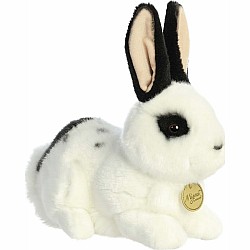 Miyoni Black And White Rex Rabbit