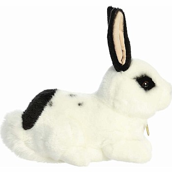 Miyoni Black And White Rex Rabbit