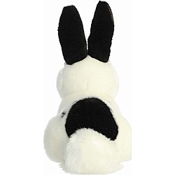 Miyoni Black And White Rex Rabbit