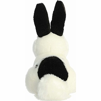 Miyoni Black And White Rex Rabbit