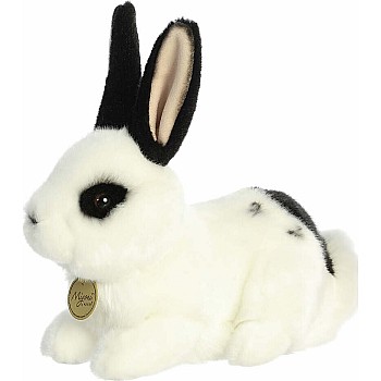 Miyoni Black And White Rex Rabbit