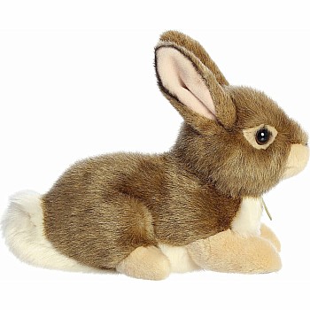 Miyoni Eastern Cottontail Rabbit