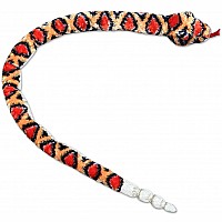 Diamond Back Rattle Snake 50in