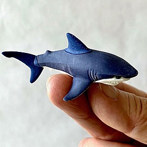 Duck Frog Eraser-30