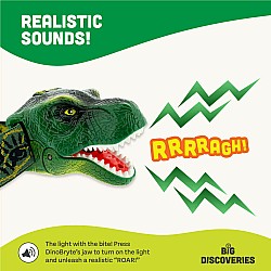 DinoBryte