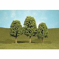 3"- 4" Deciduous Trees (3 Per Box)