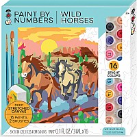 Paint by Numbers Wild Horses
