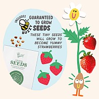 Paint and Grow- Strawberry