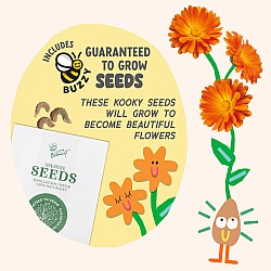 Paint and Grow- Orange