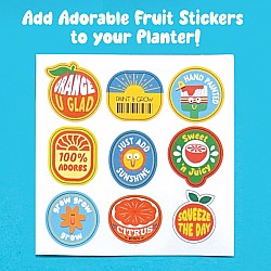 Paint and Grow- Orange