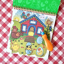 Splash-Tastic Life Cycles