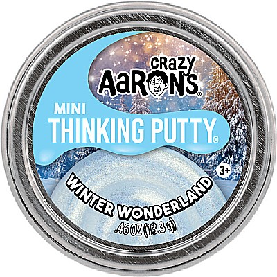 Mini Winter Wonderland - 2" Thinking Putty Tin