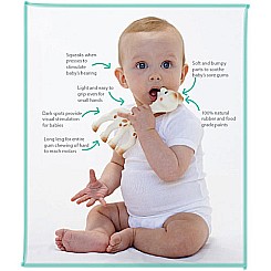 Sophie the Giraffe baby teether toy