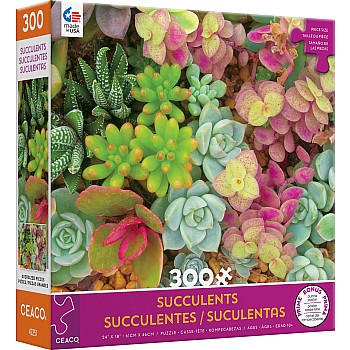 300 Piece Oversized Succulents Assortment