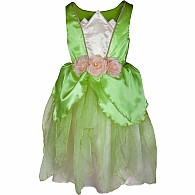 Frog Princess Dress (size 5-6)