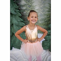 Ballet Tutu Dress Gold (Size 3-4)