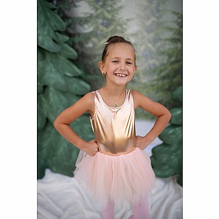 Ballet Tutu Dress Gold (Size 3-4)