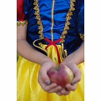 Deluxe Snow White Gown (Size 3-4)