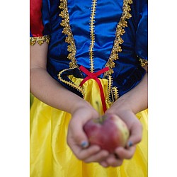 Deluxe Snow White Gown (Size 3-4)