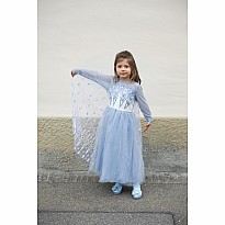 Once Upon a Princess Winter Princess Dress (Size 5-6)