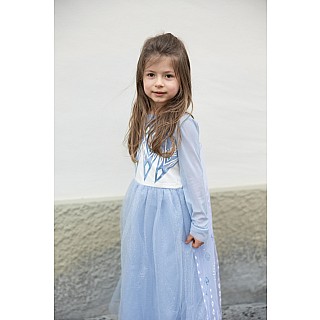 Once Upon a Princess Winter Princess Dress (Size 5-6)
