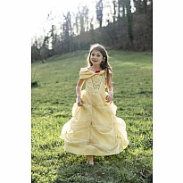 Once Upon a Princess Beauty Dress (Size 2-3)