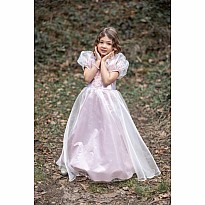 Platinum Princess Gown (size 5-6)