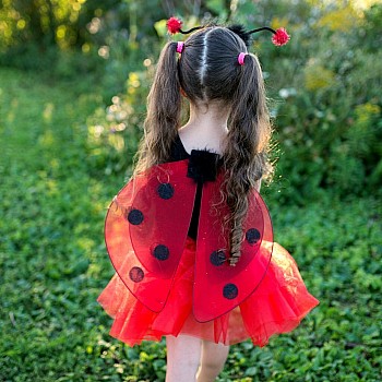 Glitter Lady Bug Set (Size 4-6)