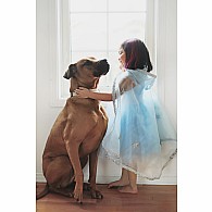 Blue Snow Queen Cape (Size 3-4)