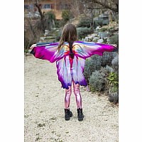 Great Pretenders Ombre Butterfly Soft Wings (size 4-6)