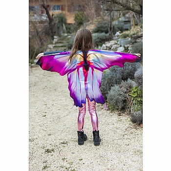 Ombre Butterfly Soft Wings