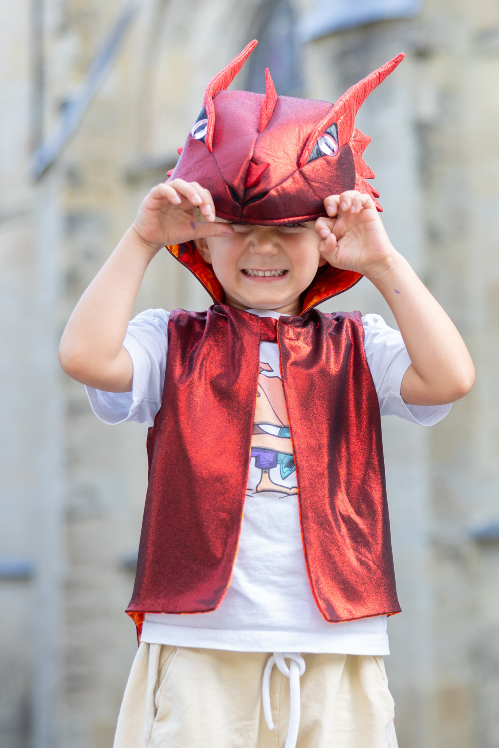 The All Day Everyday Dragon Vest (Size 3-4)