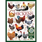 1000 Piece Puzzle, Chicken Quotes