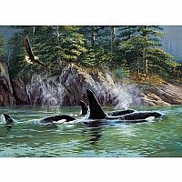 Cobble Hill 1000 Piece Jigsaw Puzzle - Orcas