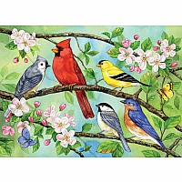 Bloomin' Birds (Family Pieces 350 pc family puzzle)