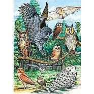 Cobble Hill 35 Piece Tray Puzzle - North American Owls